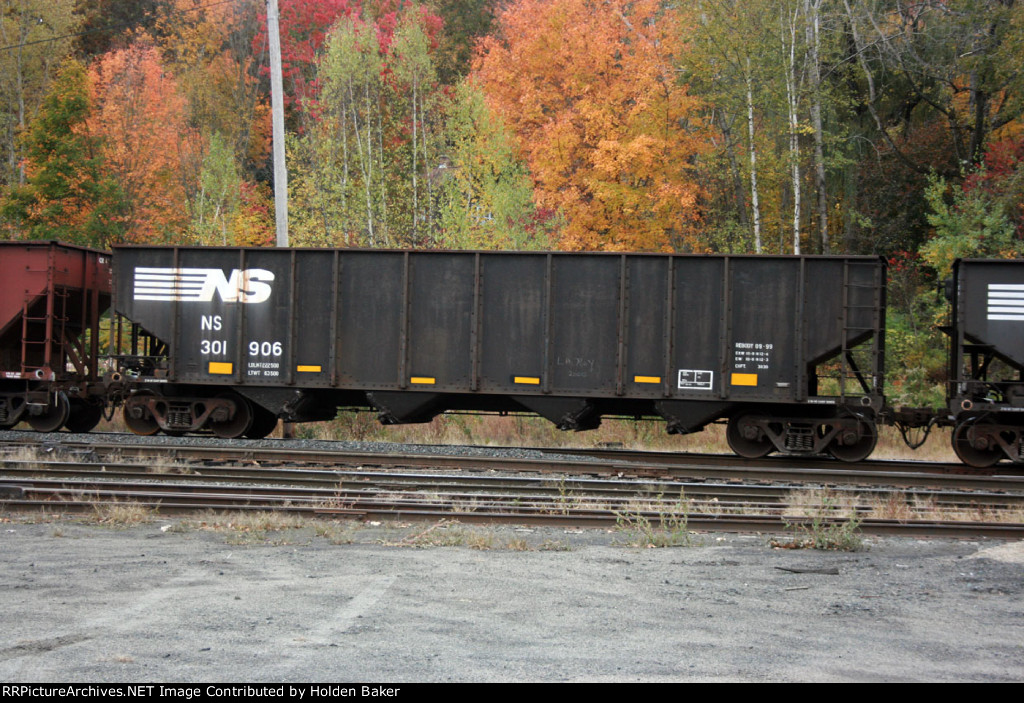 NS 301906